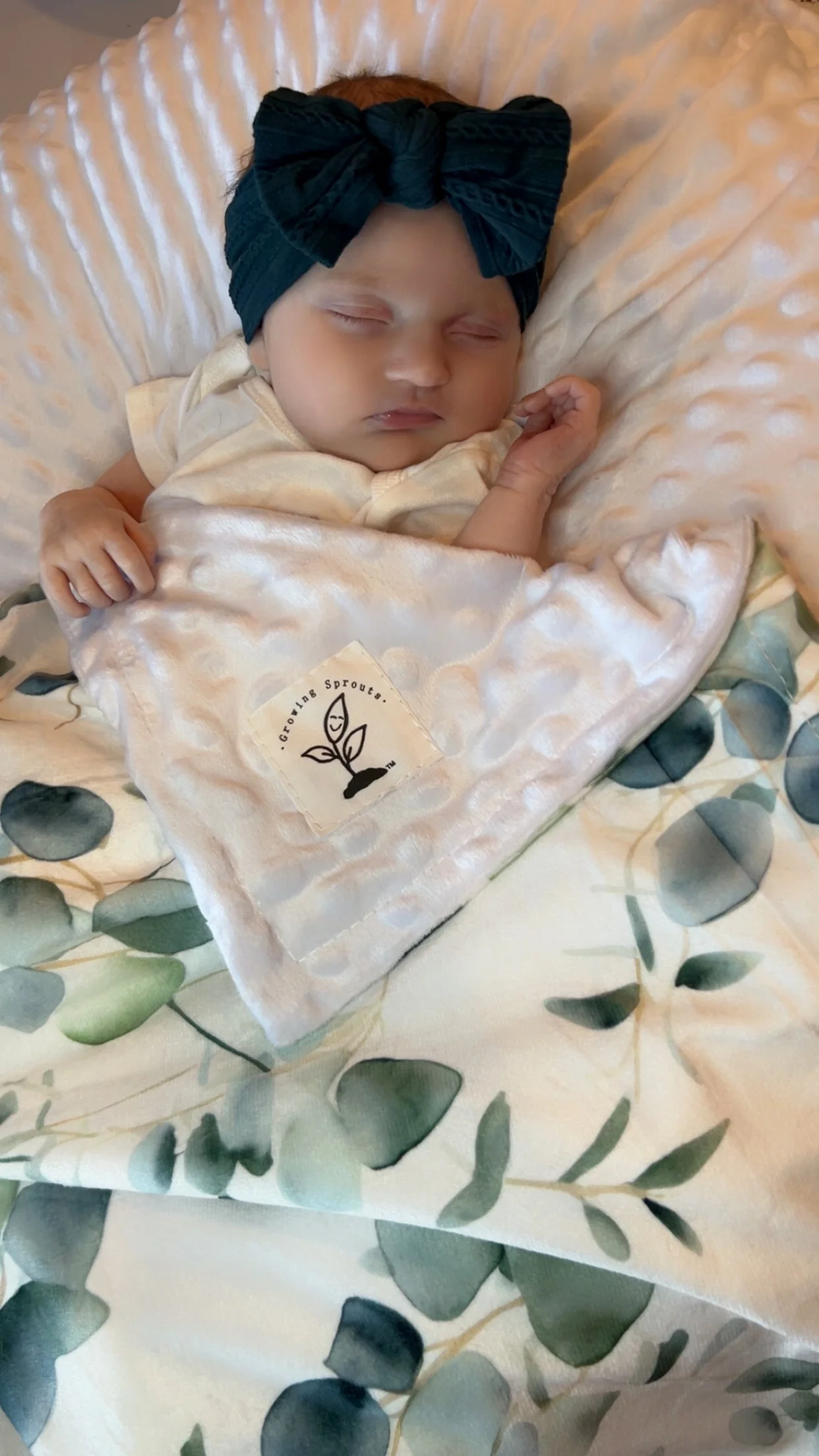 Eucalyptus Embrace Minky Blanket - Image 3