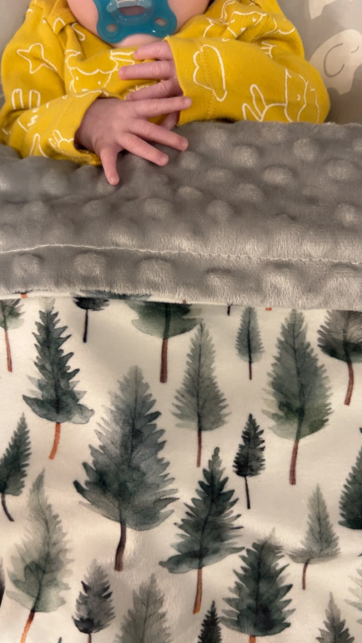Woodland Whispers Minky Blanket - Image 4